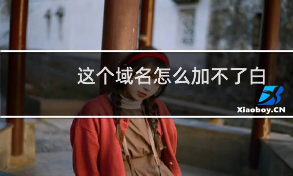 这个域名怎么加不了白名单  麻烦看一下