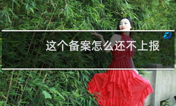 这个备案怎么还不上报管局！