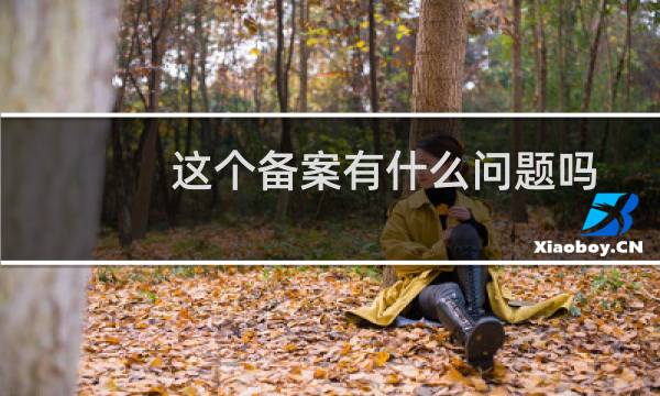 这个备案有什么问题吗-备案平台