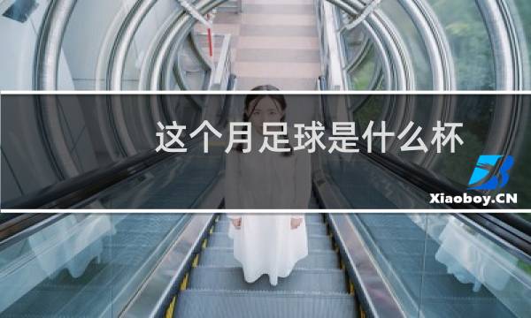 这个月足球是什么杯