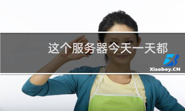 这个服务器今天一天都非常的卡