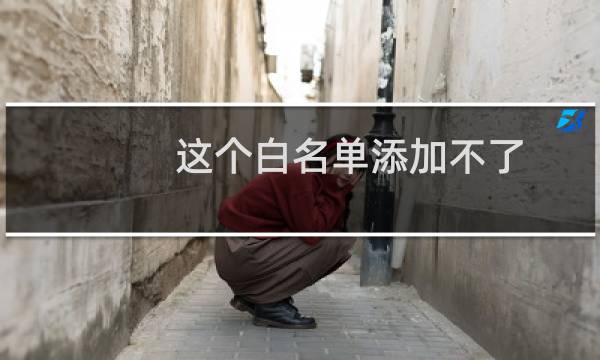 这个白名单添加不了。-云服务器问题