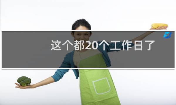 这个都20个工作日了,怎么还不审核???