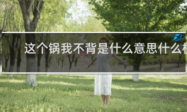 这个锅我不背是什么意思什么梗