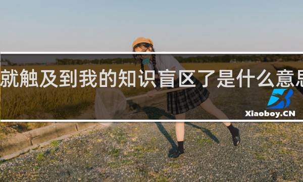 这就触及到我的知识盲区了是什么意思什么梗