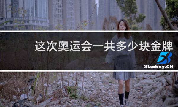 这次奥运会一共多少块金牌