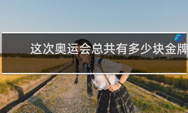 这次奥运会总共有多少块金牌