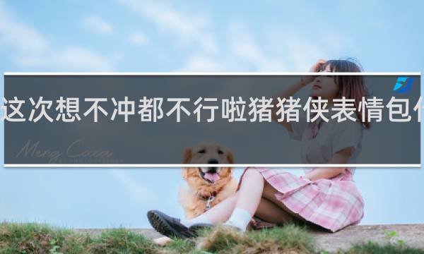 这次想不冲都不行啦猪猪侠表情包什么梗