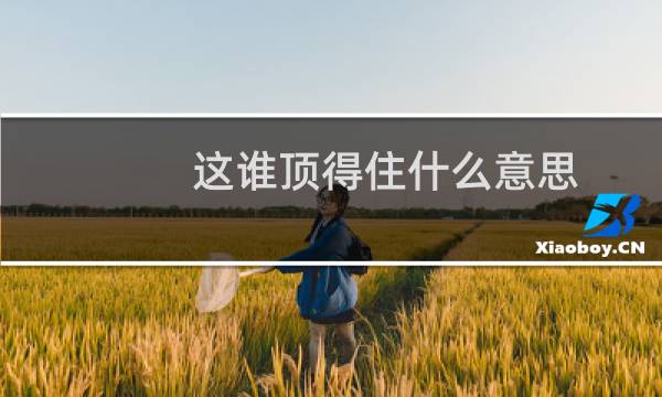 这谁顶得住什么意思？什么梗