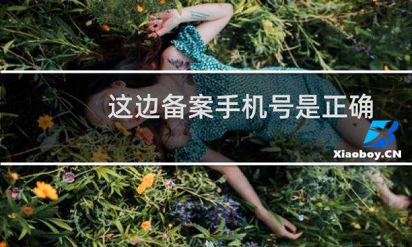 这边备案手机号是正确的，但是收不到短信