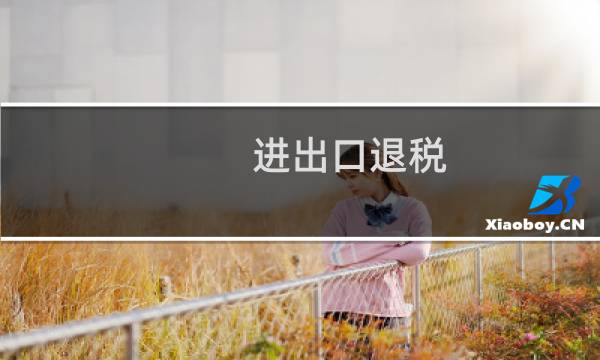 进出口退税