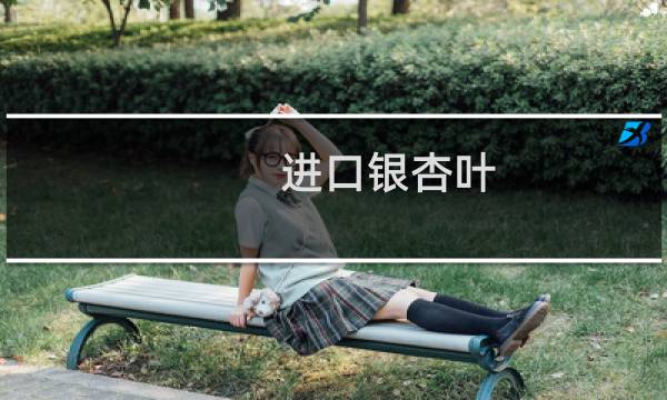 进口银杏叶