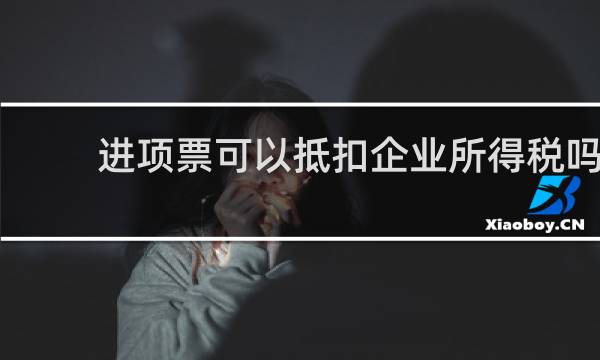 进项票可以抵扣企业所得税吗