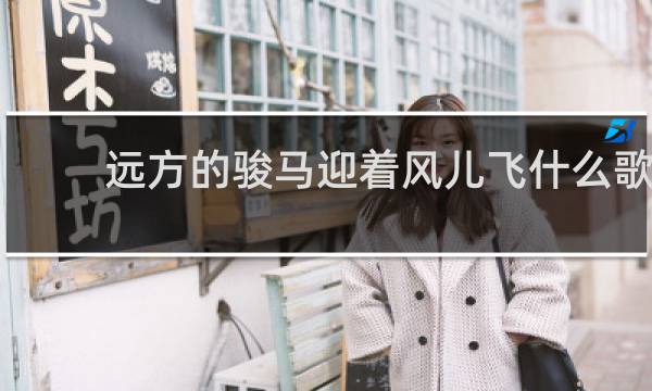 远方的骏马迎着风儿飞什么歌