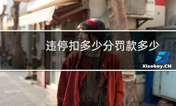 违停扣多少分罚款多少(违停白色罚单怎么处理)