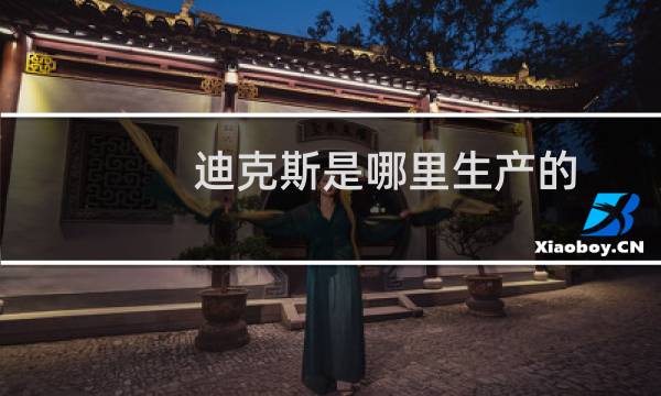 迪克斯是哪里生产的（迪克斯是哪里的牌子）