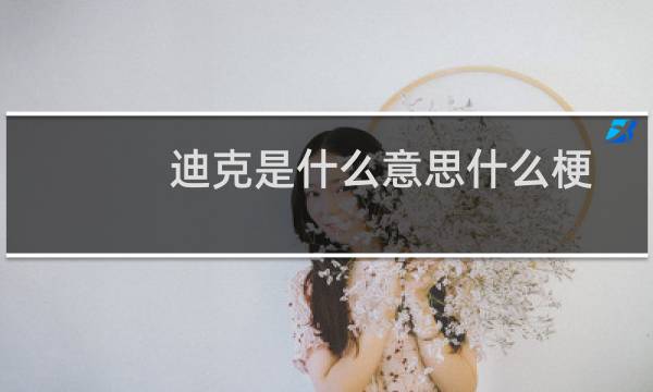 迪克是什么意思什么梗