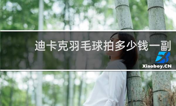迪卡克羽毛球拍多少钱一副