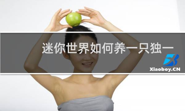 迷你世界如何养一只独一无二的宠物