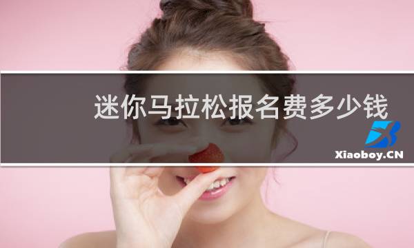 迷你马拉松报名费多少钱