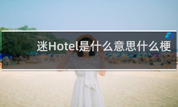 迷Hotel是什么意思什么梗