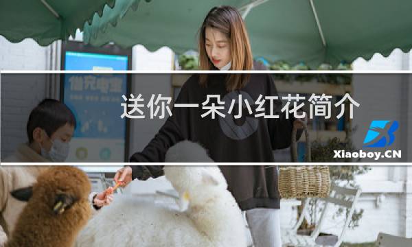 送你一朵小红花简介