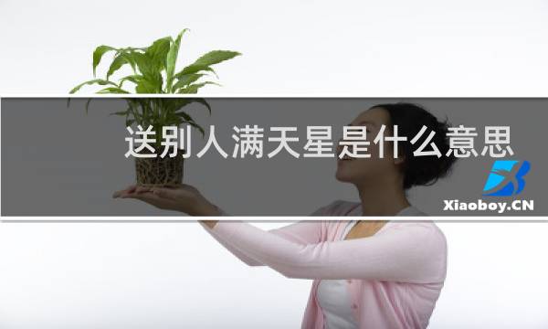 送别人满天星是什么意思