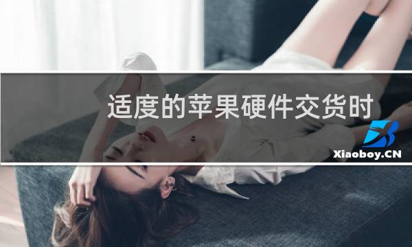 适度的苹果硬件交货时间表明比预期的 6 月季度要好图片