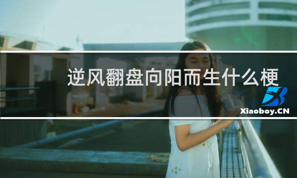 逆风翻盘向阳而生什么梗