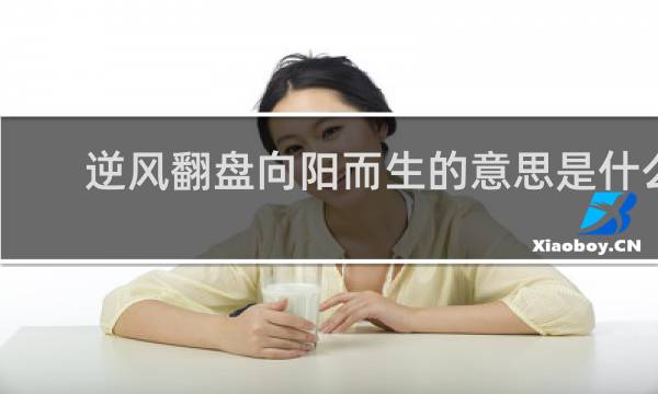 逆风翻盘向阳而生的意思是什么，这样的励志句子有哪些什么梗
