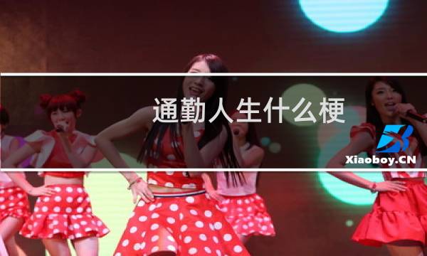 通勤人生什么梗