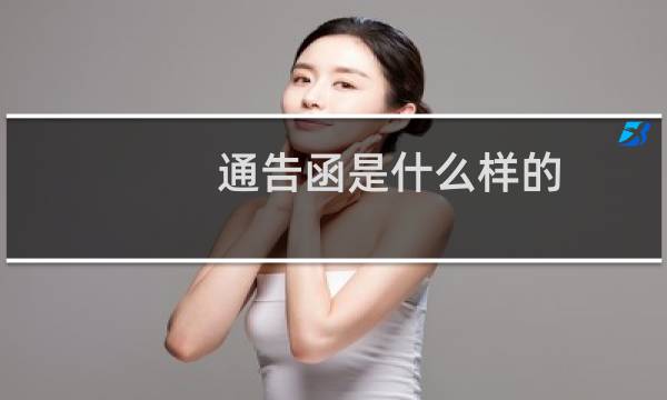 通告函是什么样的(通告函是什么意思)
