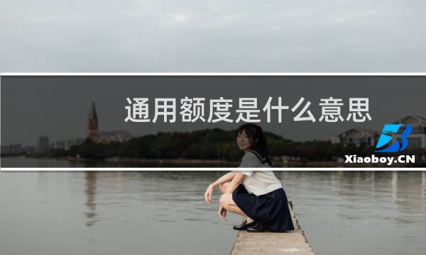 通用额度是什么意思