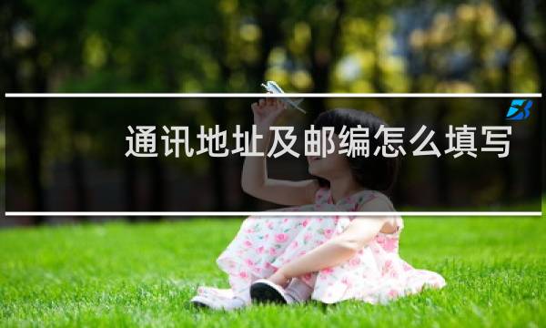 通讯地址及邮编怎么填写