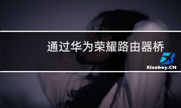 通过华为荣耀路由器桥接水星路由器的一种方法