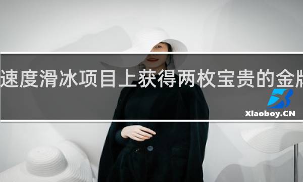 速度滑冰项目上获得两枚宝贵的金牌是谁