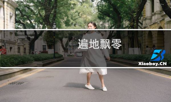 遍地飘零，无一无靠什么梗