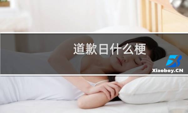 道歉日什么梗