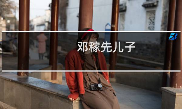 邓稼先儿子