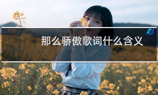 那么骄傲歌词什么含义（那么骄傲歌词）