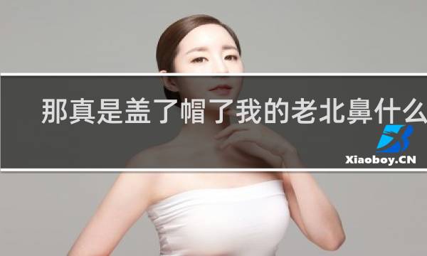 那真是盖了帽了我的老北鼻什么梗