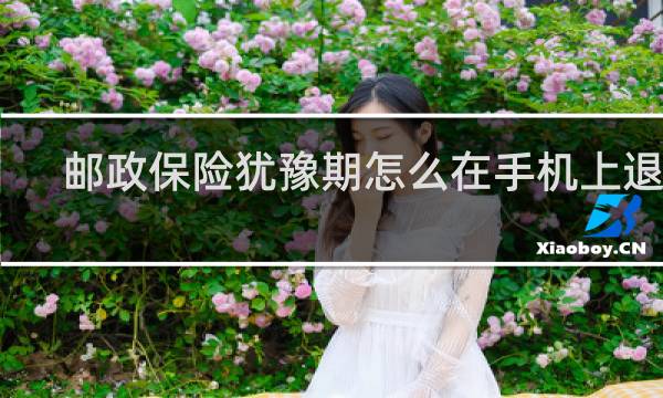 邮政保险犹豫期怎么在手机上退保