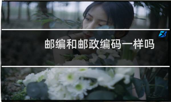 邮编和邮政编码一样吗