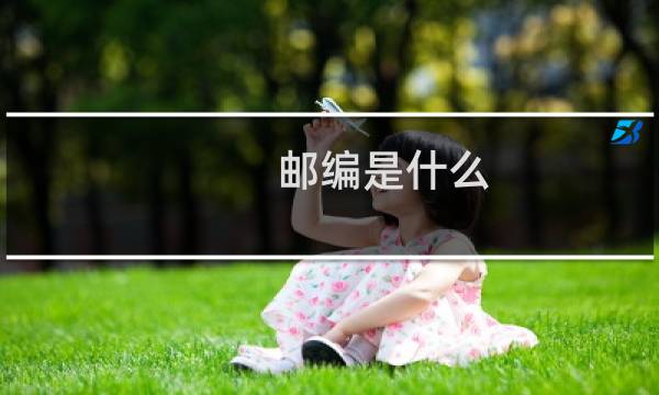 邮编是什么?