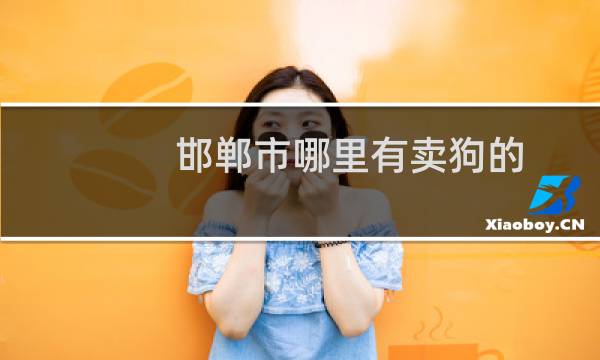 邯郸市哪里有卖狗的