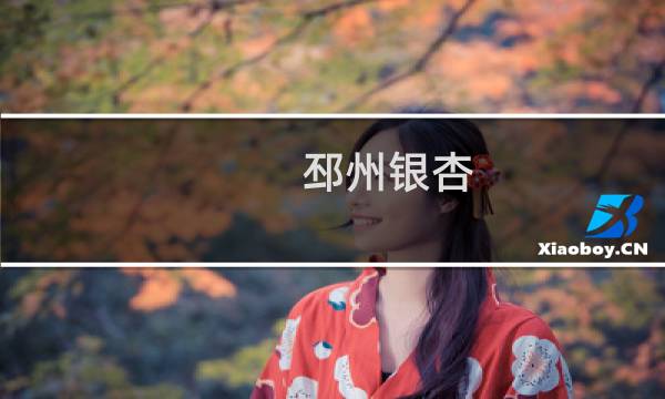 邳州银杏