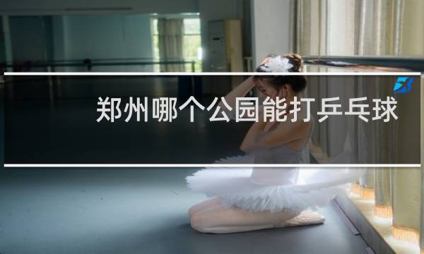 郑州哪个公园能打乒乓球