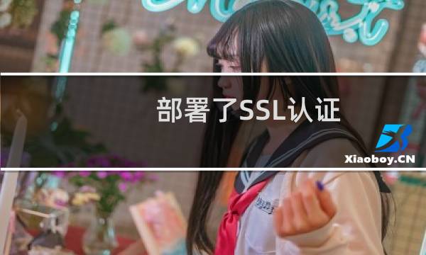 部署了SSL认证,已经可以跳转了,但是访问不了