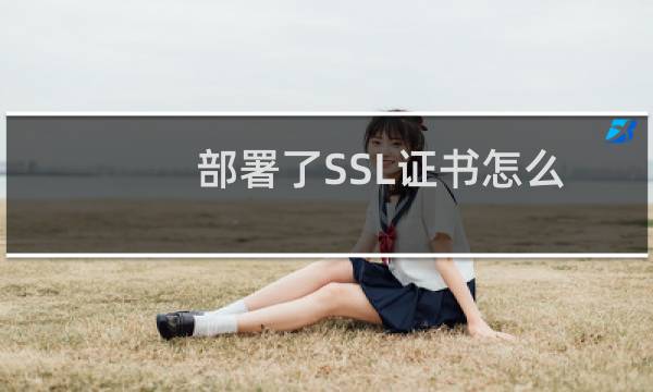 部署了SSL证书怎么网站打不开了