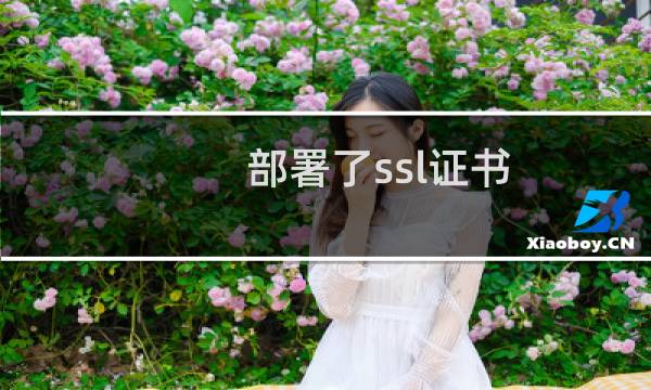 部署了ssl证书,访问不到